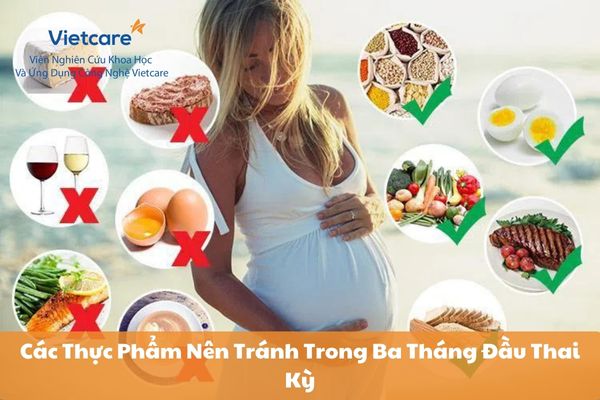 Các Thực Phẩm Nên Tránh Trong Ba Tháng Đầu Thai Kỳ 6 Các Thực Phẩm Nên Tránh Trong Ba Tháng Đầu Thai Kỳ