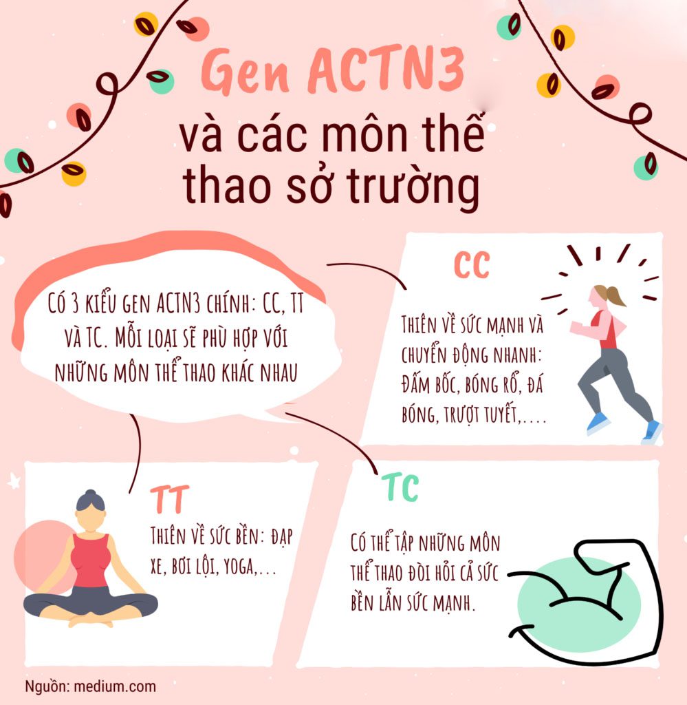 Nghiên cứu về gene ACTN3