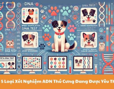 Top 5 Loại Xét Nghiệm ADN Thú Cưng Đang Được Yêu Thích 6 Top 5 Loại Xét Nghiệm ADN Thú Cưng Đang Được Yêu Thích