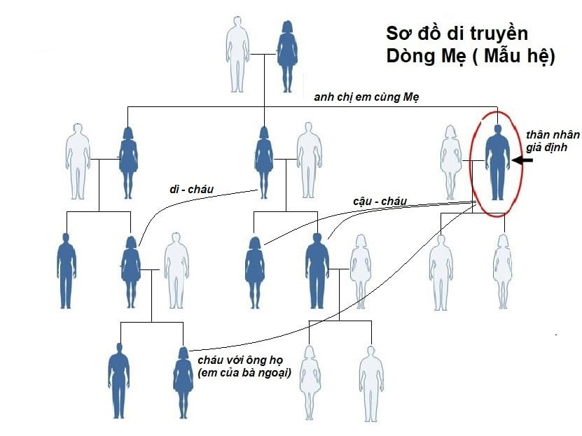  Xét Nghiệm ADN Huyết Thống Trực Hệ