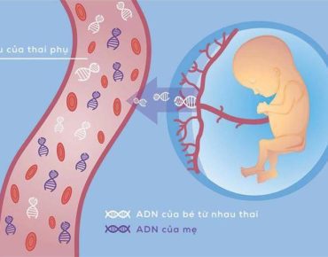 Quy trình thực hiện xét nghiệm NIPT