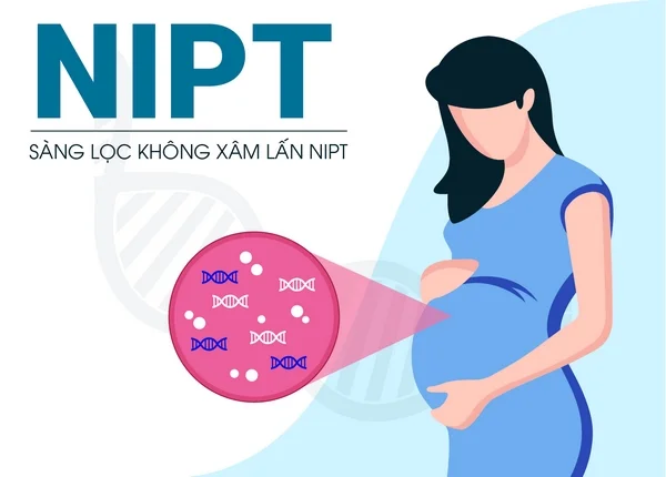 Xét nghiệm NIPT giúp phát hiện sớm dị tật ở thai nhi