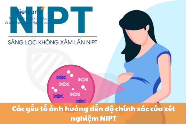 Các yếu tố ảnh hưởng đến độ chính xác của xét nghiệm NIPT