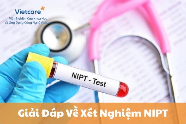 Giải Đáp Về Xét Nghiệm NIPT: Tất Cả Những Gì Bạn Cần Biết