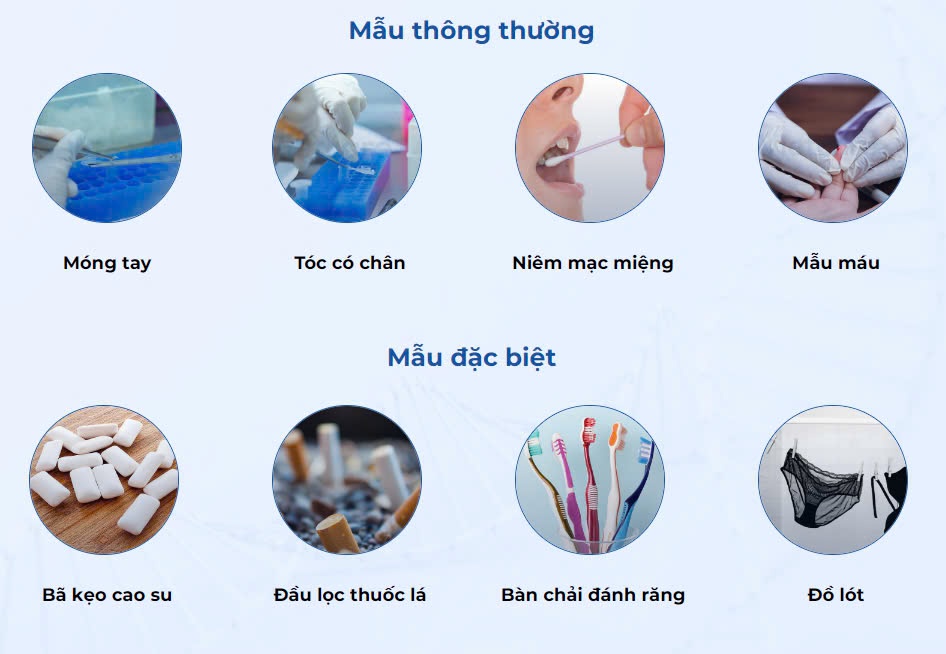 Các loại mẫu vật sử dụng trong xét nghiệm