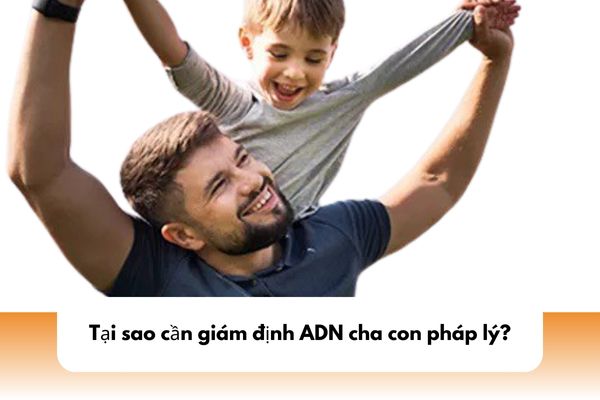 Tại sao cần giám định ADN cha con pháp lý?