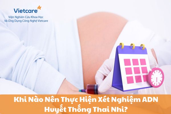 Khi Nào Nên Thực Hiện Xét Nghiệm ADN Huyết Thống Thai Nhi?