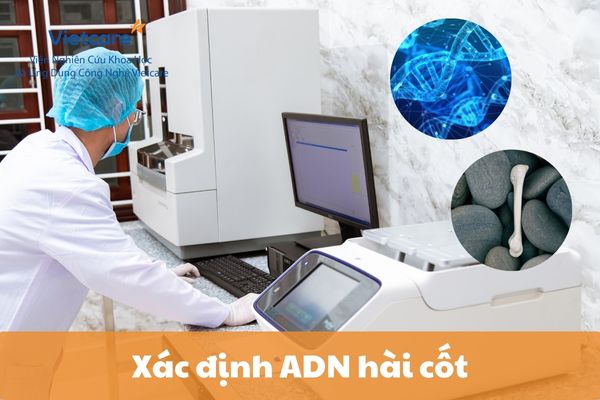 Xác định ADN hài cốt: Quy trình, ứng dụng và chi phí xét nghiệm ADN