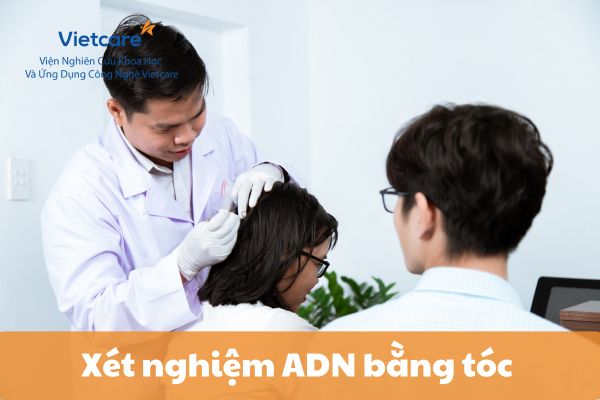 Xét nghiệm ADN bằng tóc có chính xác không?