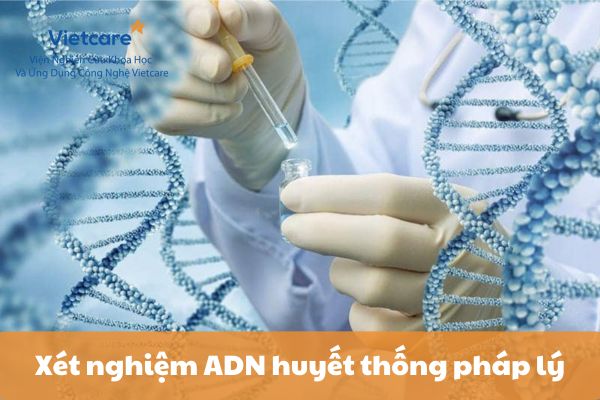 Xét nghiệm ADN huyết thống pháp lý: Tầm quan trọng, quy trình và ứng dụng trong các thủ tục hành chính