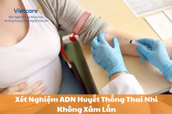 Xét Nghiệm ADN Huyết Thống Thai Nhi Không Xâm Lấn là gì?