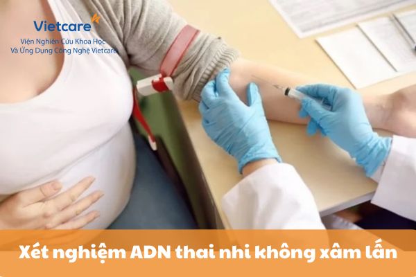 Xét nghiệm ADN thai nhi không xâm lấn - giải pháp an toàn cho mẹ và bé