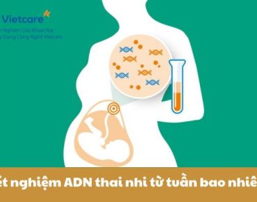 Xét nghiệm ADN thai nhi từ tuần bao nhiêu?