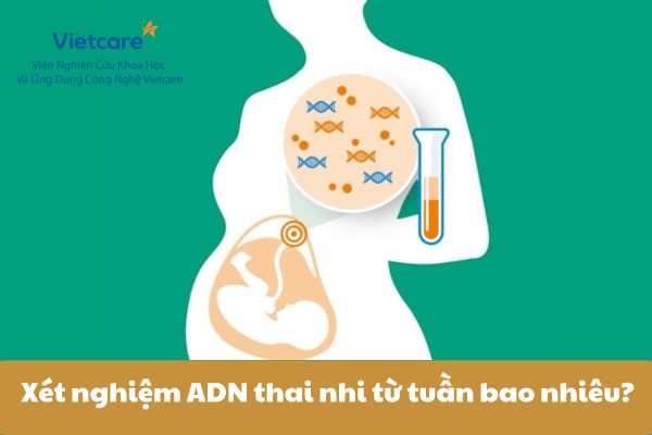 Xét nghiệm ADN thai nhi từ tuần bao nhiêu?