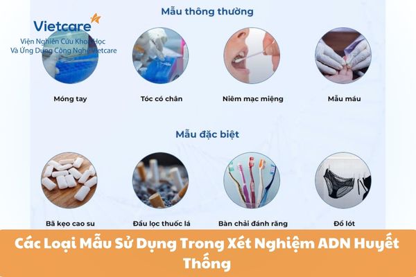 Các Loại Mẫu Sử Dụng Trong Xét Nghiệm ADN Huyết Thống Và Độ Chính Xác Của Từng Loại