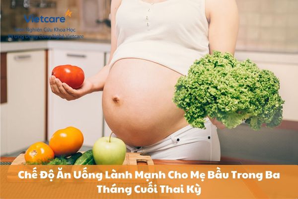 Chế Độ Ăn Uống Lành Mạnh Cho Mẹ Bầu Trong Ba Tháng Cuối Thai Kỳ