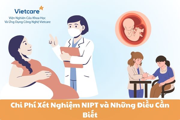 Chi Phí Xét Nghiệm NIPT và Những Điều Cần Biết