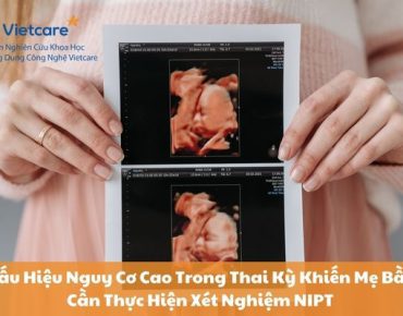 Dấu Hiệu Nguy Cơ Cao Trong Thai Kỳ Khiến Mẹ Bầu Cần Thực Hiện Xét Nghiệm NIPT