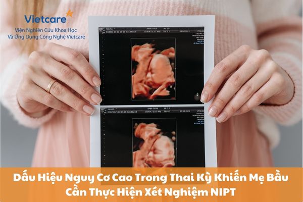 Dấu Hiệu Nguy Cơ Cao Trong Thai Kỳ Khiến Mẹ Bầu Cần Thực Hiện Xét Nghiệm NIPT