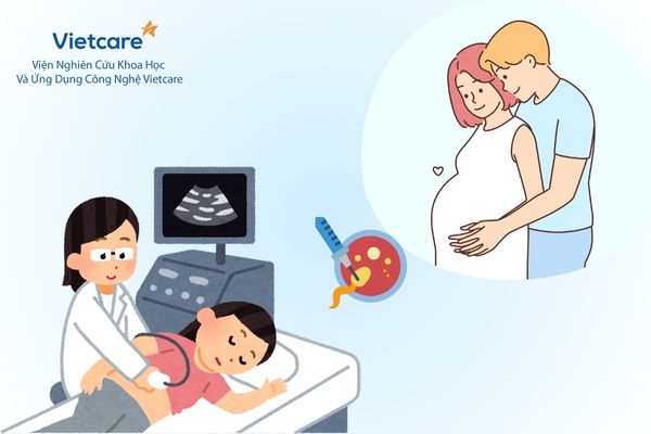 NIPT trong thai kỳ đã từng điều trị vô sinh hoặc thụ tinh trong ống nghiệm (IVF)