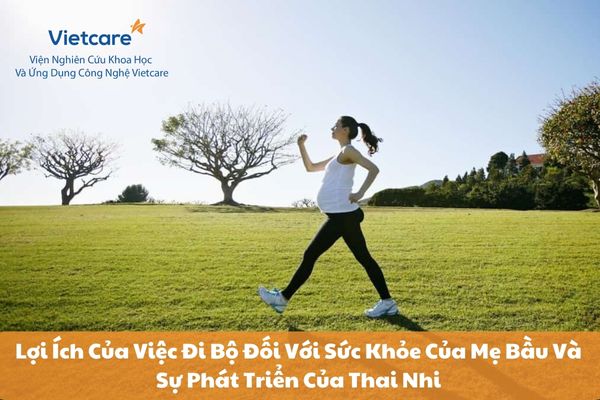 Lợi Ích Của Việc Đi Bộ Đối Với Sức Khỏe Của Mẹ Bầu Và Sự Phát Triển Của Thai Nhi