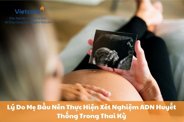 Lý Do Mẹ Bầu Nên Thực Hiện Xét Nghiệm ADN Huyết Thống Trong Thai Kỳ