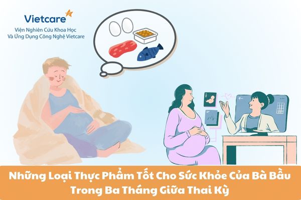 Những Loại Thực Phẩm Tốt Cho Sức Khỏe Của Bà Bầu Trong Ba Tháng Giữa Thai Kỳ