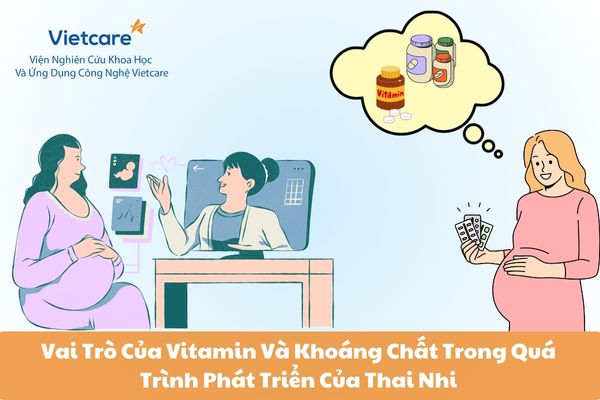 Vai Trò Của Vitamin Và Khoáng Chất Trong Quá Trình Phát Triển Của Thai Nhi