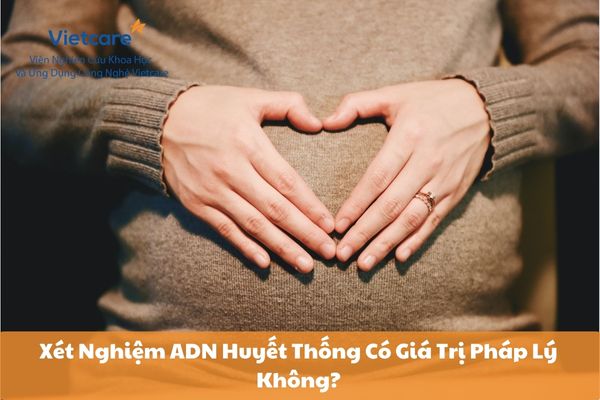 Xét Nghiệm ADN Huyết Thống Có Giá Trị Pháp Lý Không?