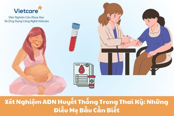 Xét Nghiệm ADN Huyết Thống Trong Thai Kỳ: Những Điều Mẹ Bầu Cần Biết