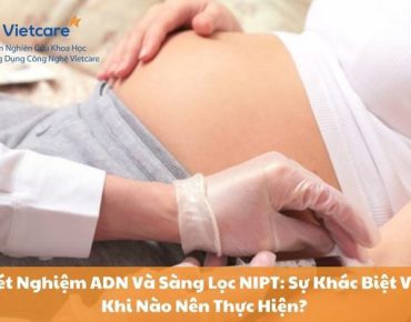 Xét Nghiệm ADN Và Sàng Lọc NIPT: Sự Khác Biệt Và Khi Nào Nên Thực Hiện?