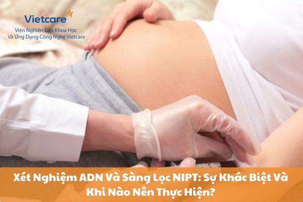 Xét Nghiệm ADN Và Sàng Lọc NIPT: Sự Khác Biệt Và Khi Nào Nên Thực Hiện?