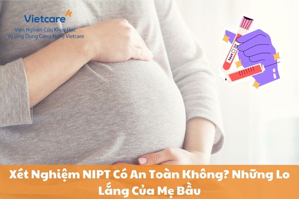 Xét Nghiệm NIPT Có An Toàn Không? Những Lo Lắng Của Mẹ Bầu