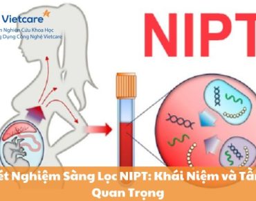 Xét Nghiệm Sàng Lọc NIPT: Khái Niệm và Tầm Quan Trọng