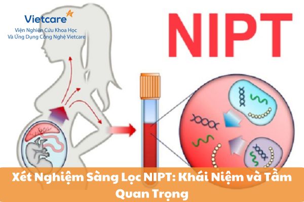 Xét Nghiệm Sàng Lọc NIPT: Khái Niệm và Tầm Quan Trọng