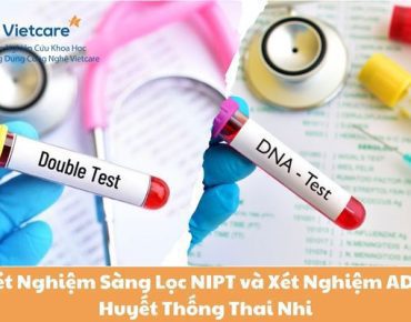 Xét Nghiệm Sàng Lọc NIPT và Xét Nghiệm ADN Huyết Thống Thai Nhi