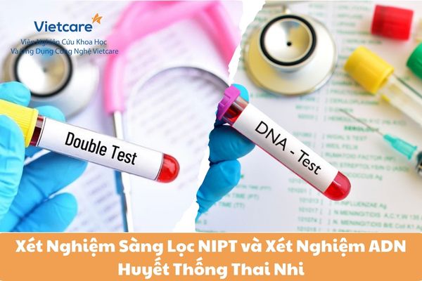 Xét Nghiệm Sàng Lọc NIPT và Xét Nghiệm ADN Huyết Thống Thai Nhi