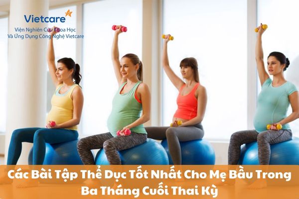 Các Bài Tập Thể Dục Tốt Nhất Cho Mẹ Bầu Trong Ba Tháng Cuối Thai Kỳ