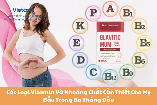 Các Loại Vitamin Và Khoáng Chất Cần Thiết Cho Mẹ Bầu Trong Ba Tháng Đầu