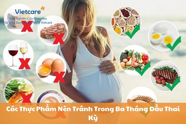 Các Thực Phẩm Nên Tránh Trong Ba Tháng Đầu Thai Kỳ