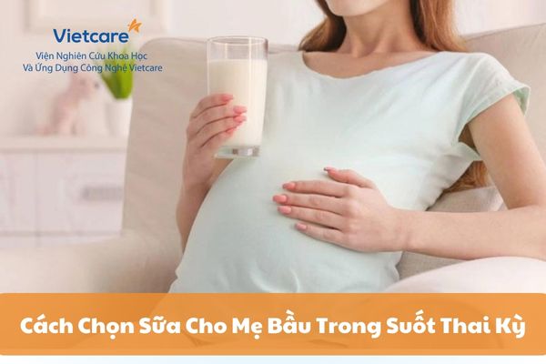 Cách Chọn Sữa Cho Mẹ Bầu Trong Suốt Thai Kỳ