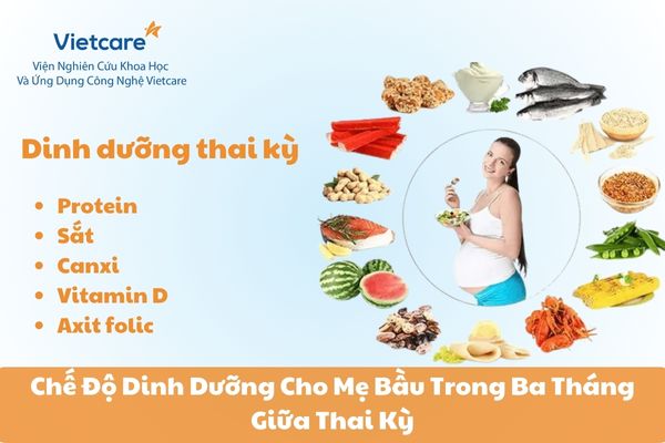 Chế Độ Dinh Dưỡng Cho Mẹ Bầu Trong Ba Tháng Giữa Thai Kỳ