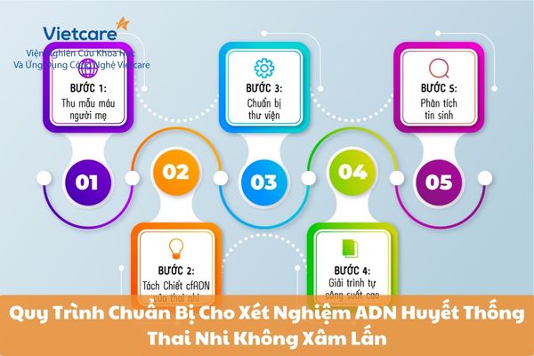 Quy Trình Chuẩn Bị Cho Xét Nghiệm ADN Huyết Thống Thai Nhi Không Xâm Lấn