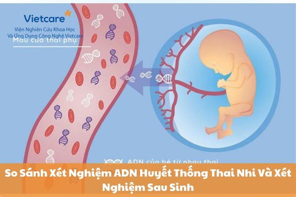 So Sánh Xét Nghiệm ADN Huyết Thống Thai Nhi Và Xét Nghiệm Sau Sinh