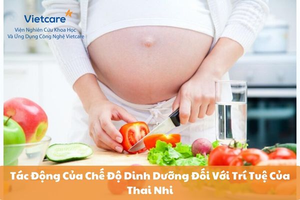 Tác Động Của Chế Độ Dinh Dưỡng Đối Với Trí Tuệ Của Thai Nhi