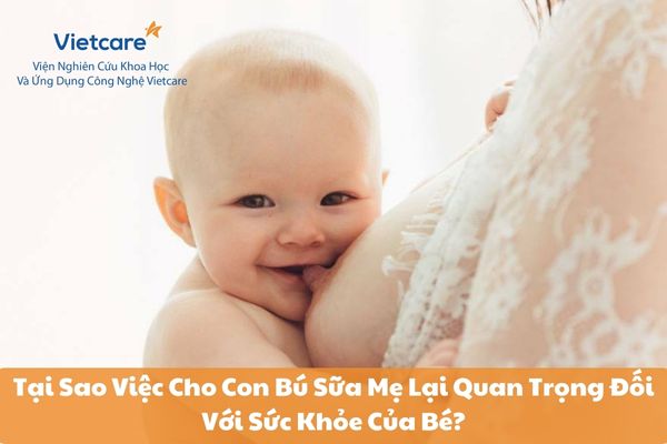 Tại Sao Việc Cho Con Bú Sữa Mẹ Lại Quan Trọng Đối Với Sức Khỏe Của Bé?