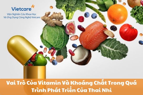 Vai Trò Của Vitamin Và Khoáng Chất Trong Quá Trình Phát Triển Của Thai Nhi