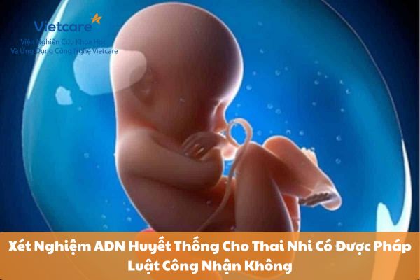 Xét Nghiệm ADN Huyết Thống Cho Thai Nhi Có Được Pháp Luật Công Nhận Không?