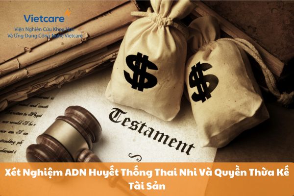 Xét Nghiệm ADN Huyết Thống Thai Nhi Và Quyền Thừa Kế Tài Sản