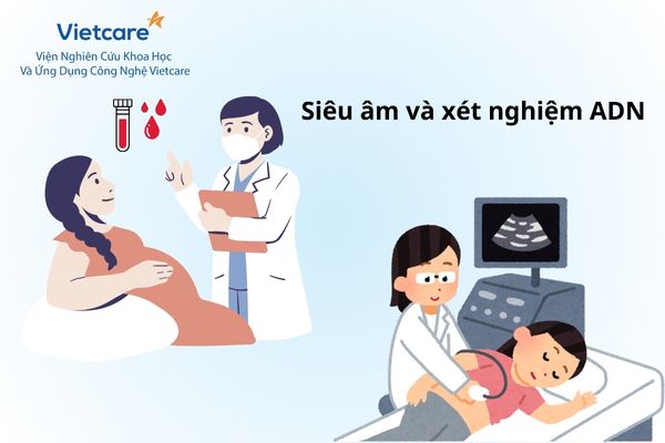 Siêu âm và xét nghiệm ADN